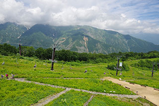 白馬五竜高山植物園