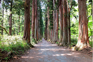 戸隠神社奥社