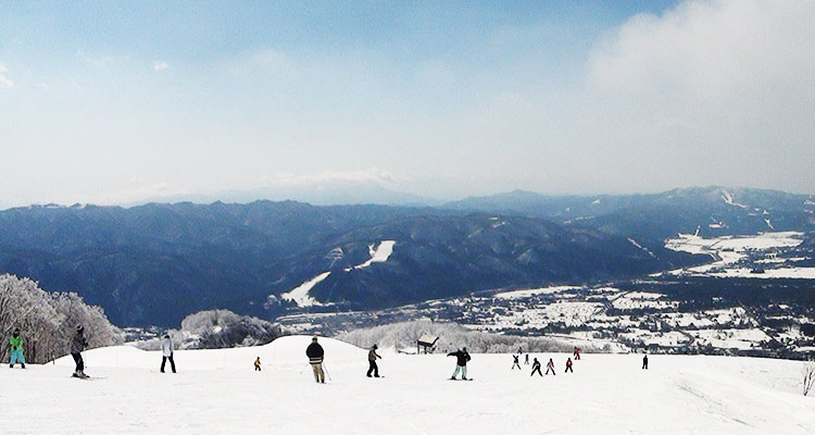 Hakuba Iwatake Snow Field