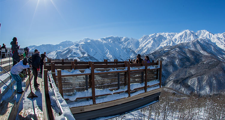 Hakuba Iwatake Snow Field