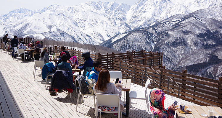 Hakuba Iwatake Snow Field