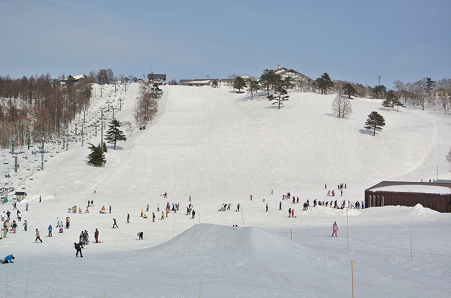斑尾高原スキー場　1日リフト券2枚セット 斑尾高原スキー場 リフト券 2枚組