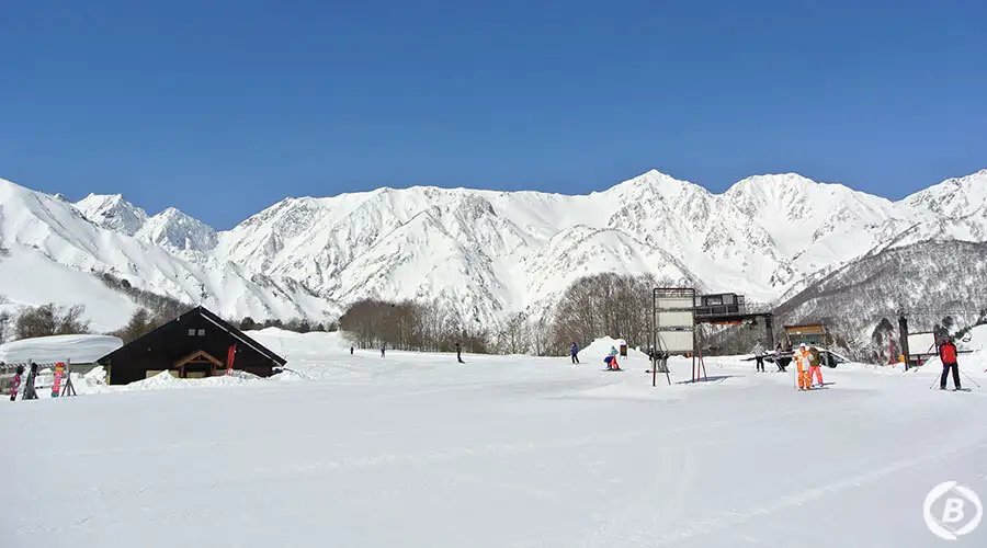 日帰りにもメリットいっぱい