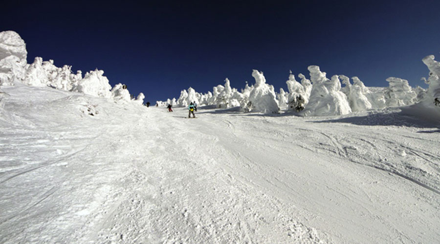 自然が創り出すスノーモンスターって？蔵王温泉スキー場で樹氷を見よう スキースノーボード情報 スノコミ
