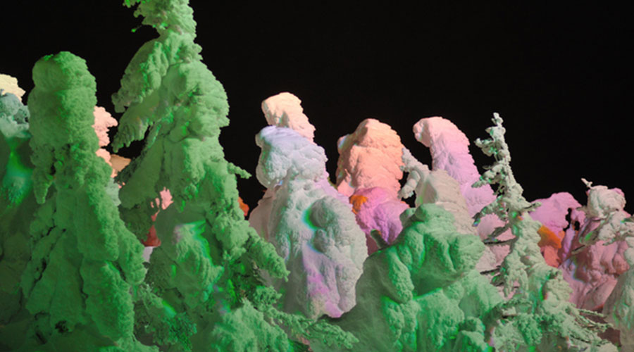 蔵王の樹氷ライトアップ
