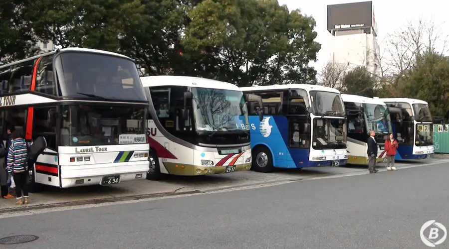 バス