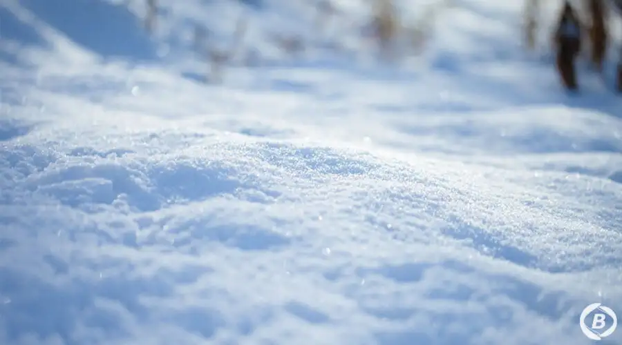 積雪量