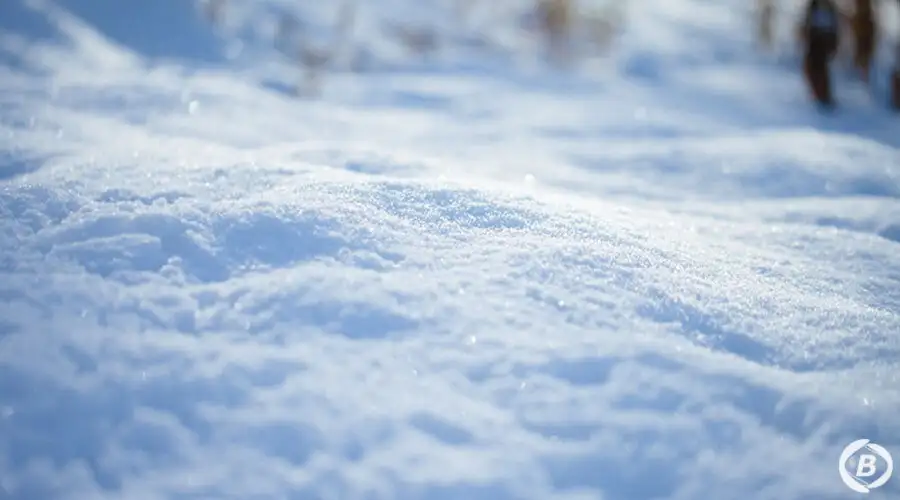 Hakuba47