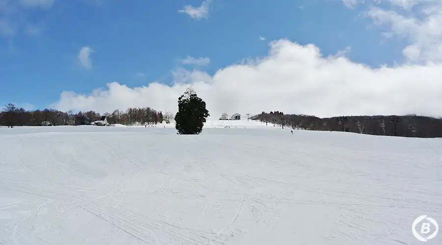 野沢温泉スキー場