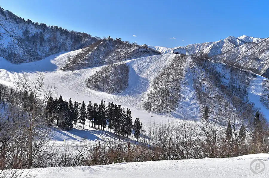 湯沢中里スキー場