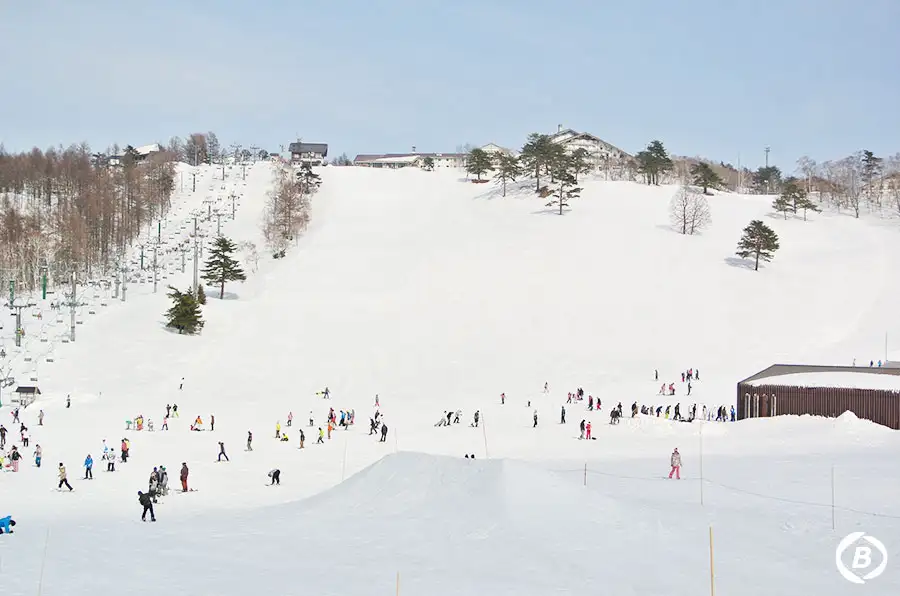 斑尾高原スキー場
