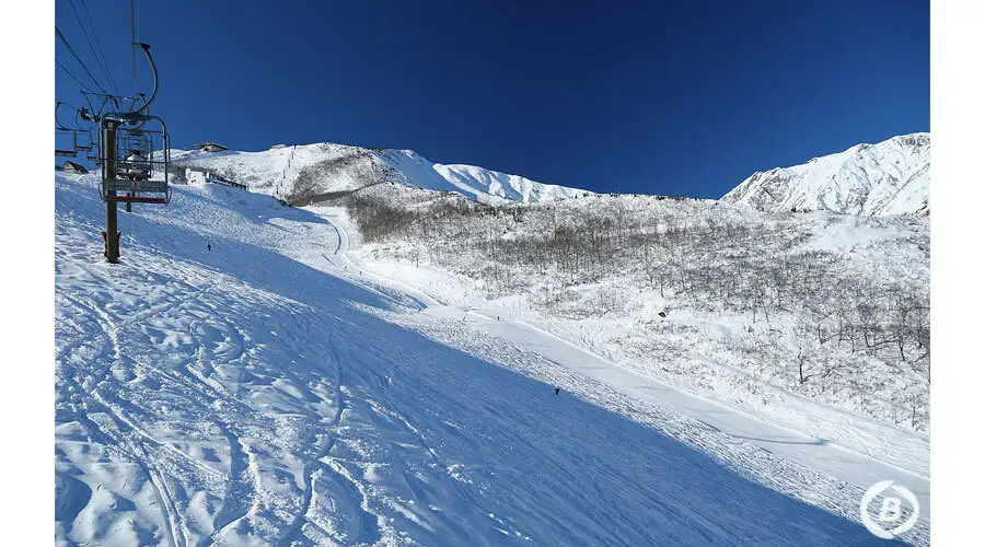 スカイライン