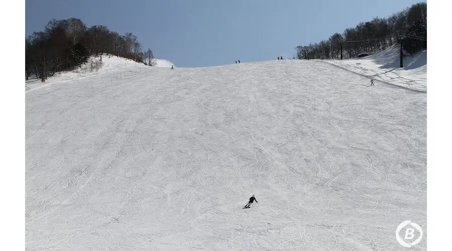 ジャイアントスキー場