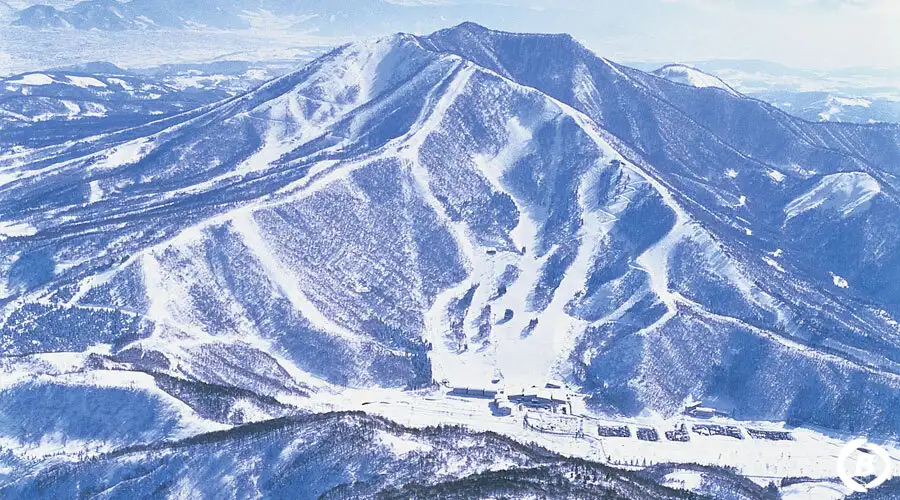 全景