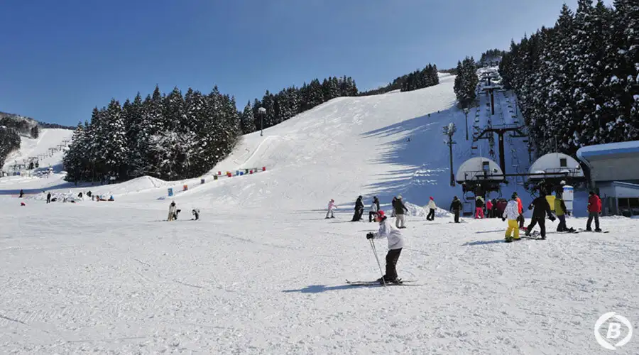 湯沢パークスキー場