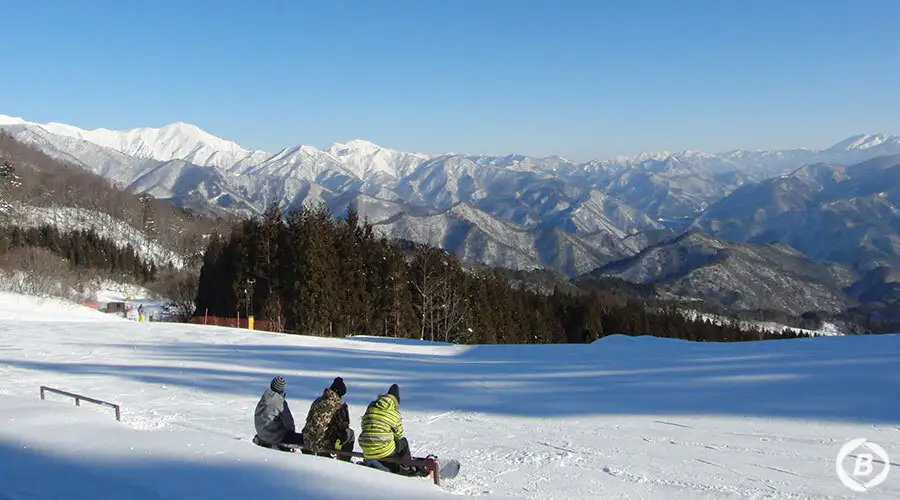 山頂からの景色