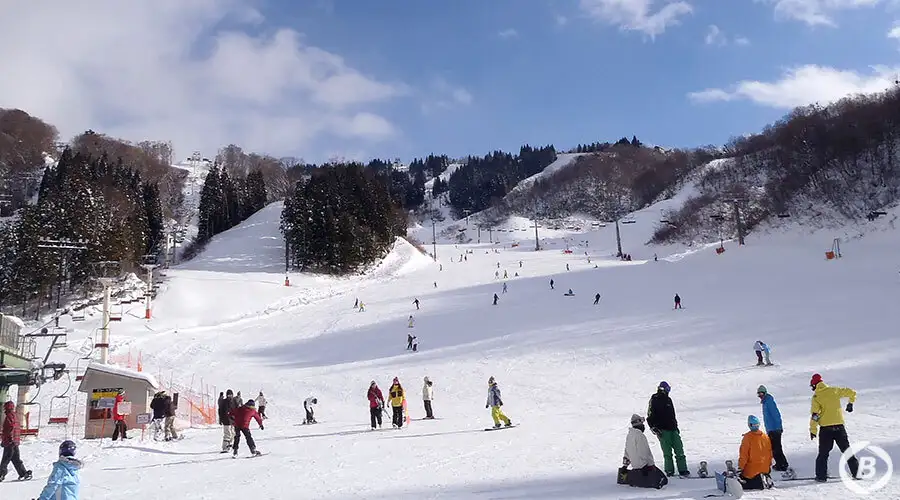 ホワイトピアたかす