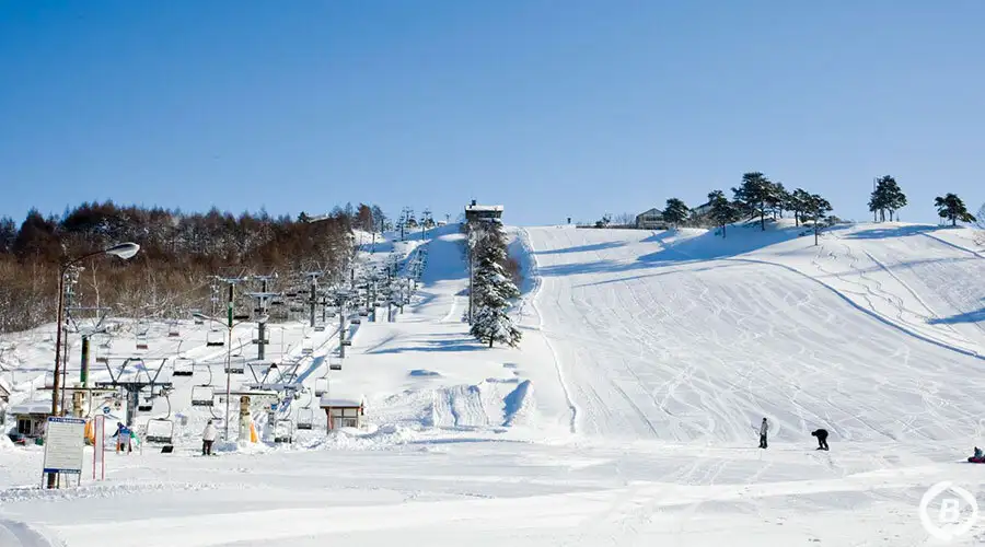 斑尾高原スキー場