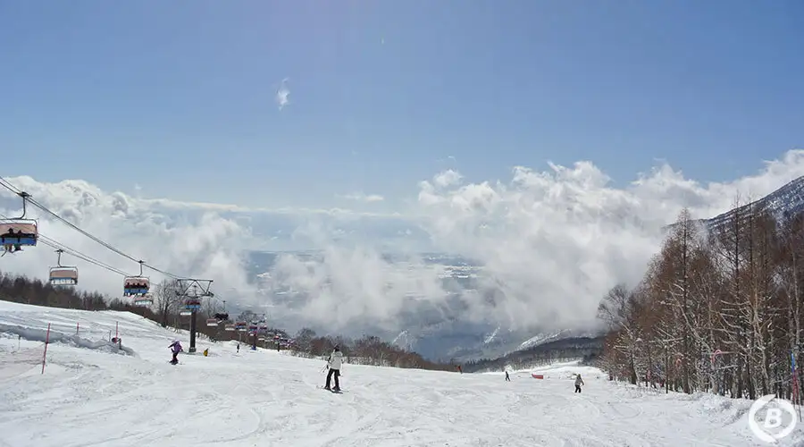 妙高杉ノ原スキー場