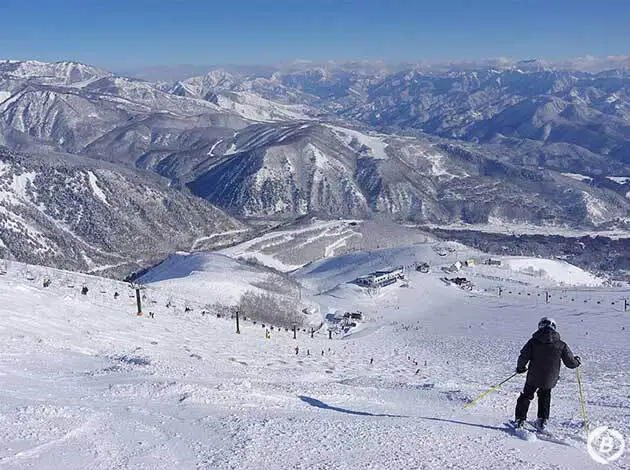 八方尾根スキー場