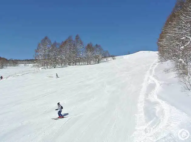 妙高杉ノ原スキー場