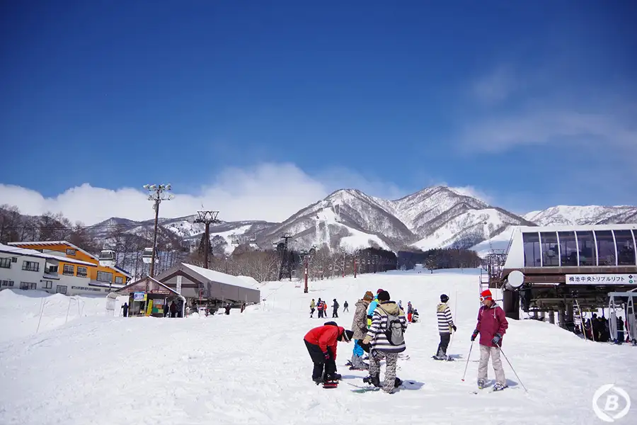 HAKUBA VALLEY 栂池高原スキー場