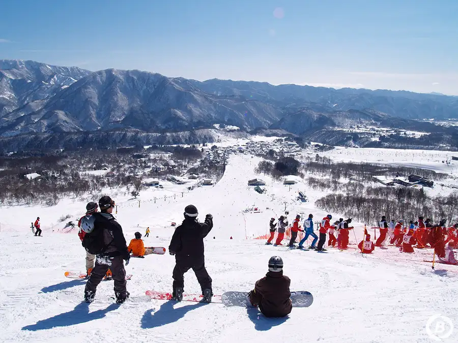 HAKUBA VALLEY 栂池高原スキー場