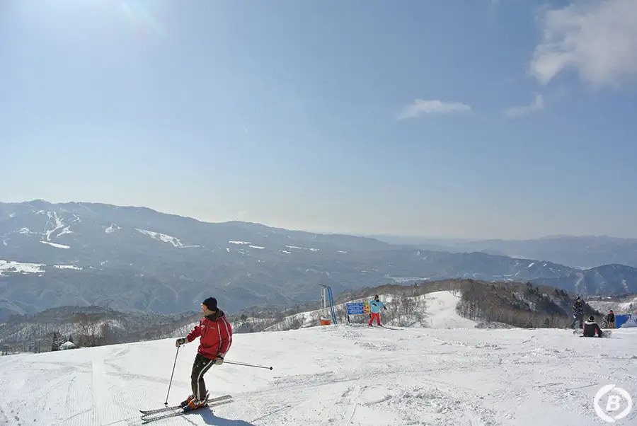 ダイナランド
