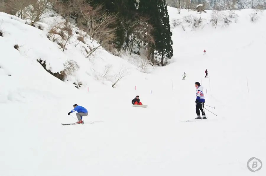 氷ノ山国際スキー場
