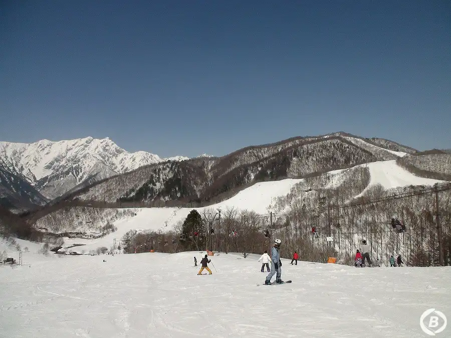 HAKUBA VALLEY鹿島槍スキー場