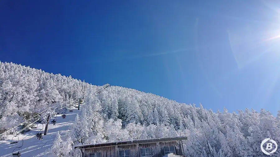 志賀高原スキー場