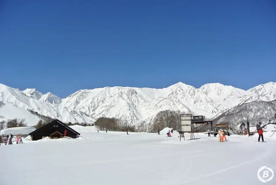白馬八方尾根スキー場