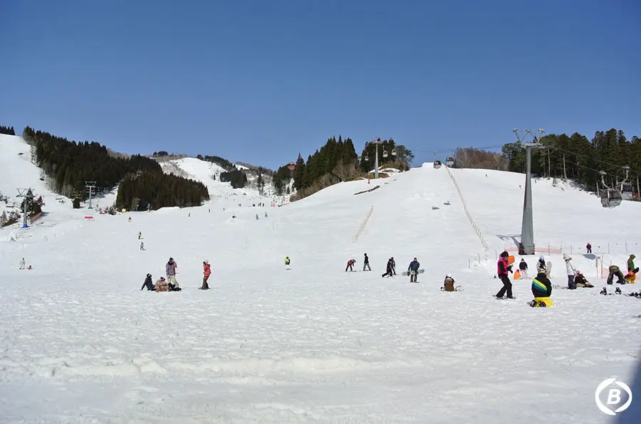 ウイングヒルズ白鳥リゾート