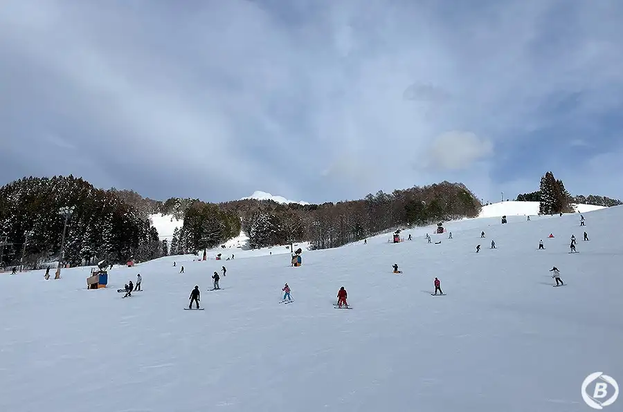 岐阜県のスキー場イメージ