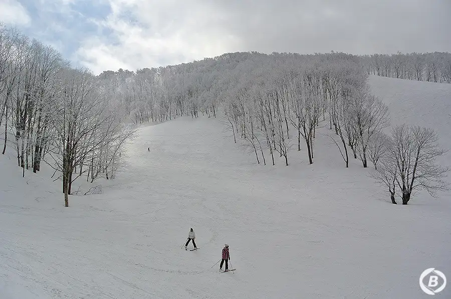 斑尾高原スキー場