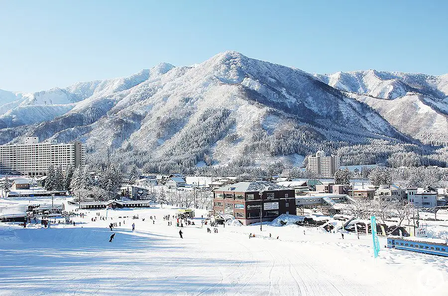新潟県スキー場イメージ