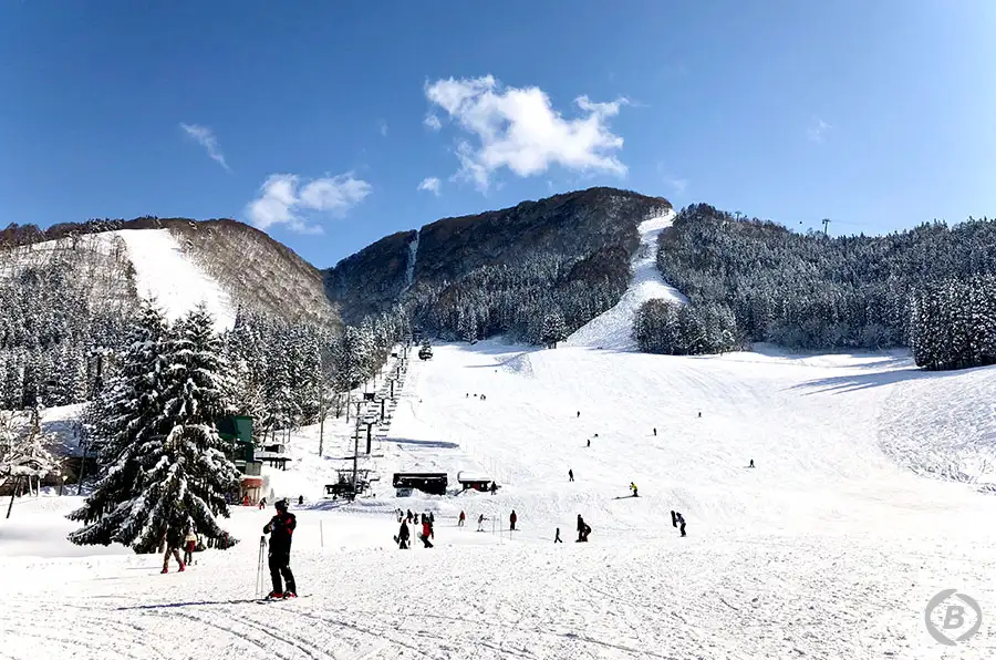 野沢温泉スキー場