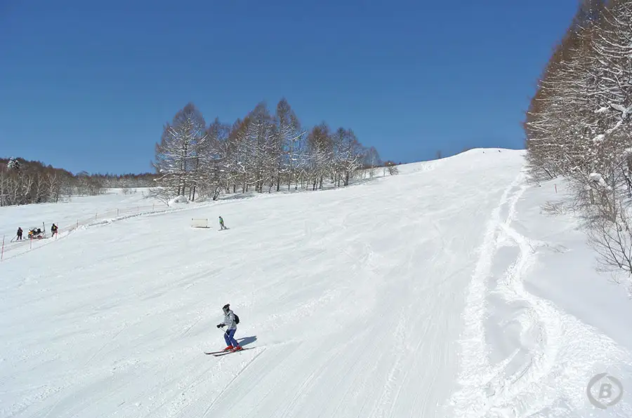 妙高杉ノ原スキー場