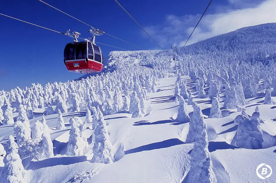 山形蔵王温泉スキー場