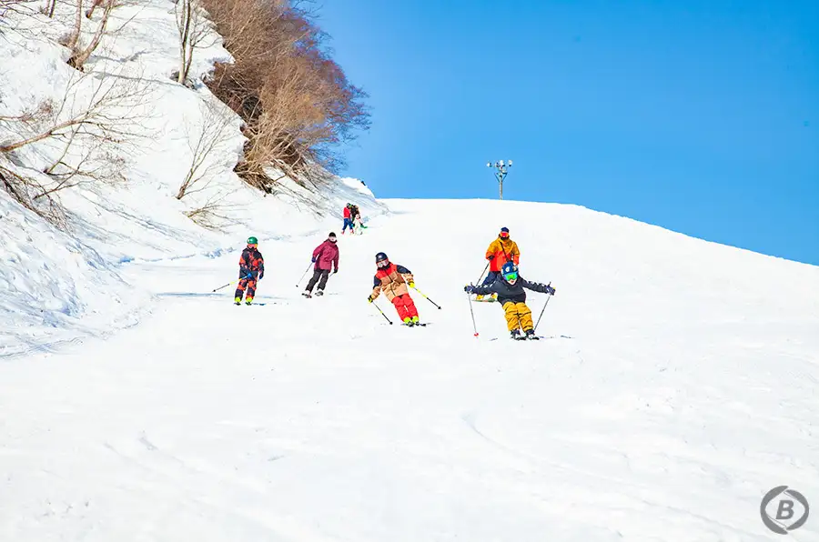 湯沢中里スキー場イメージ