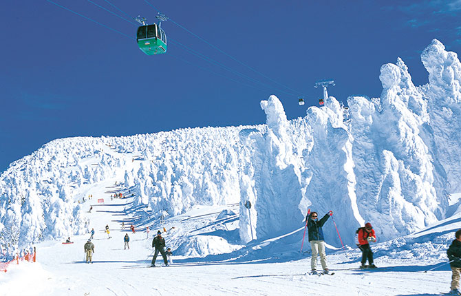 蔵王温泉スキー場の樹氷