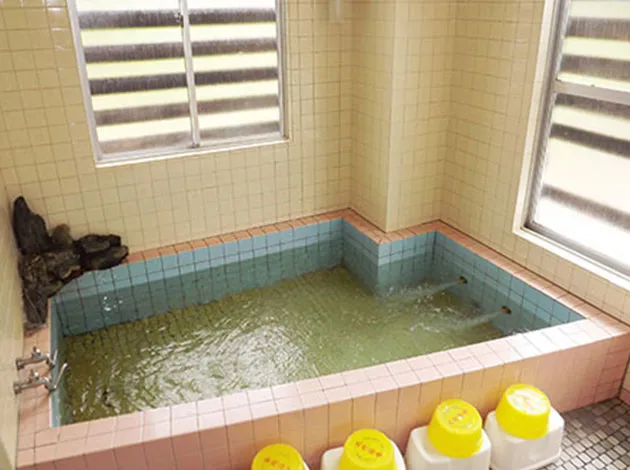 ほりで~いんこばやし