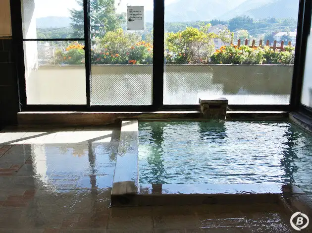 細野館