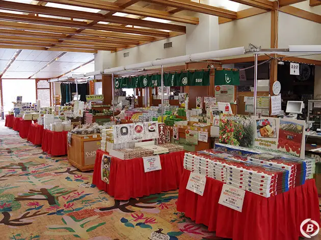 立山プリンスホテル【新館】