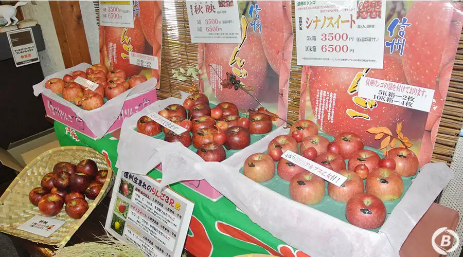 白馬ハイランドホテル