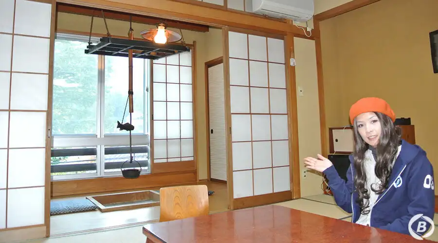 細野館