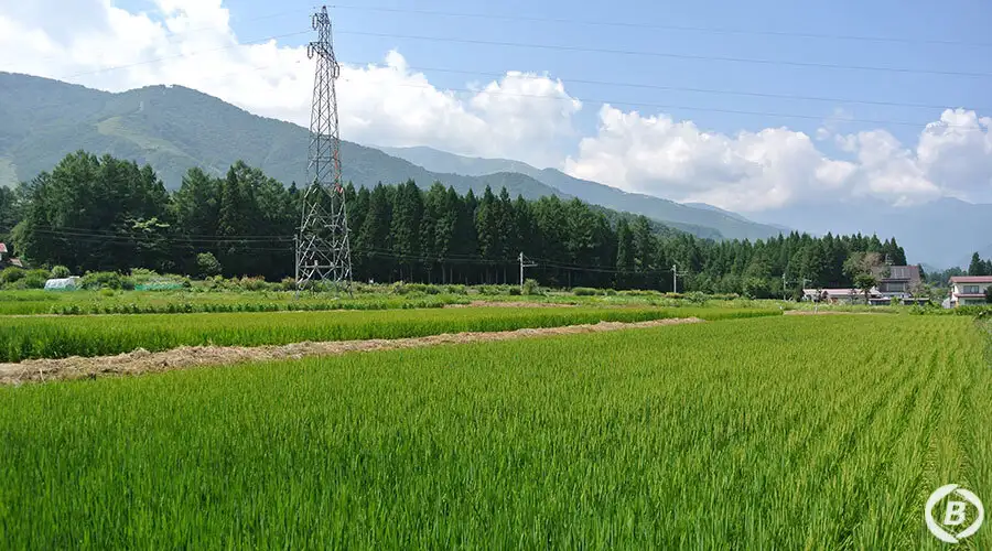 北原館