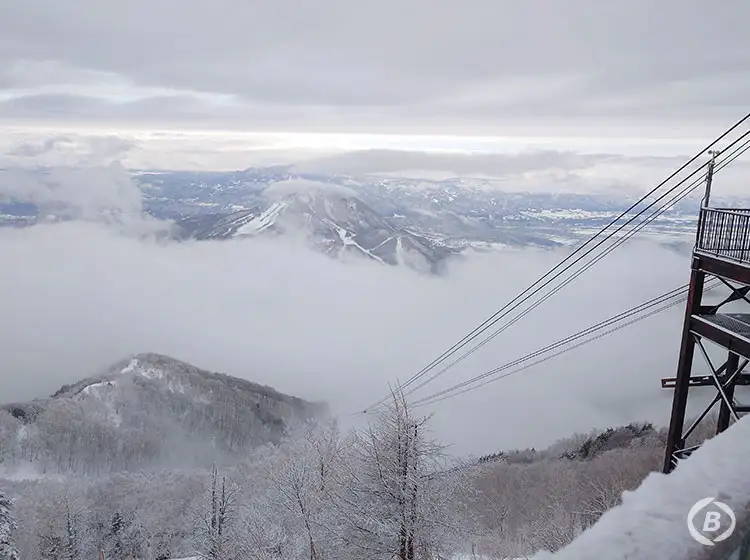 山頂の雲海