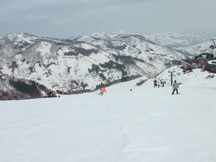 湯沢高原スキー場の高原エリアキスゲコース