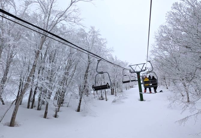斑尾が誇る日本一のツリーラン
